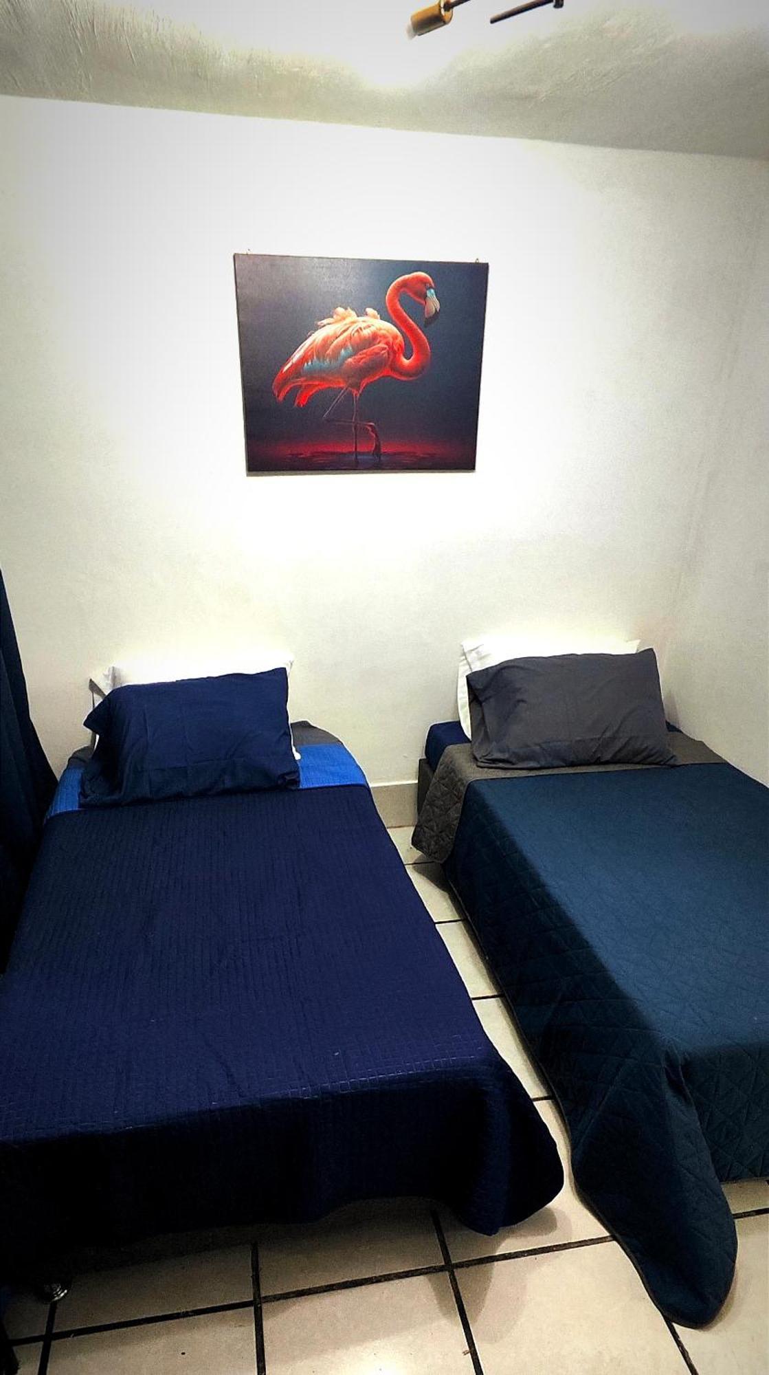 Casa Camila Zapopan Villa Guadalajara Ngoại thất bức ảnh