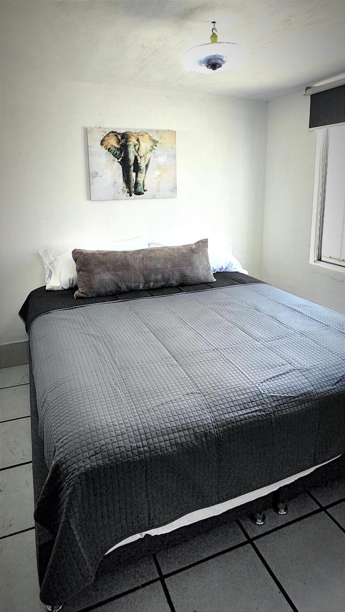 Casa Camila Zapopan Villa Guadalajara Ngoại thất bức ảnh